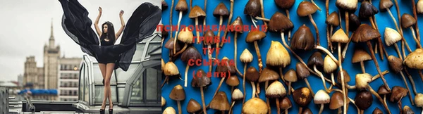мефедрон VHQ Бугульма