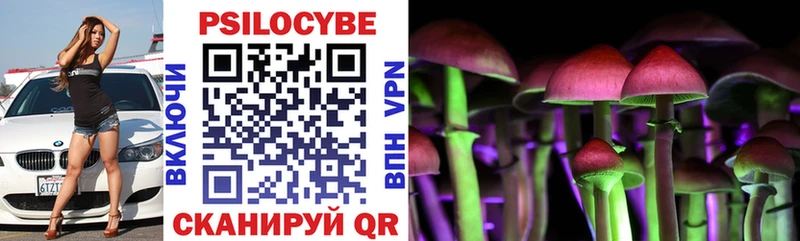 магазин    Эртиль  Галлюциногенные грибы мухоморы 